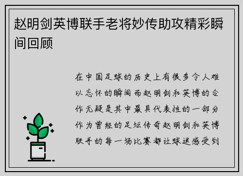 赵明剑英博联手老将妙传助攻精彩瞬间回顾